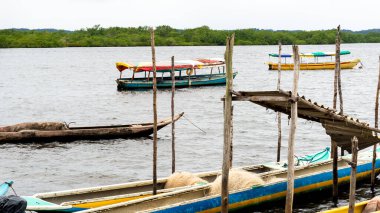 Taperoa, Bahia, Brezilya - 22 Haziran 2022: Taperoa, Bahia kentindeki Rio das Almas 'da demirlemiş balıkçı tekneleri.