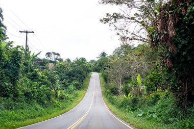 Taperoa, Bahia, Brezilya - 22 Haziran 2022: Brezilya 'nın Bahia eyaletinde Taperoa ve Valenca şehirlerini birbirine bağlayan yol.