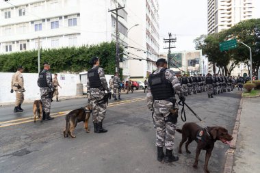 Salvador, Bahia, Brezilya - 07 Eylül 2022: Brezilya 'nın Salvador kentinde düzenlenen bağımsızlık günü geçit töreninde Bahia askeri polisinin askerleri ve köpekleri görüldü.
