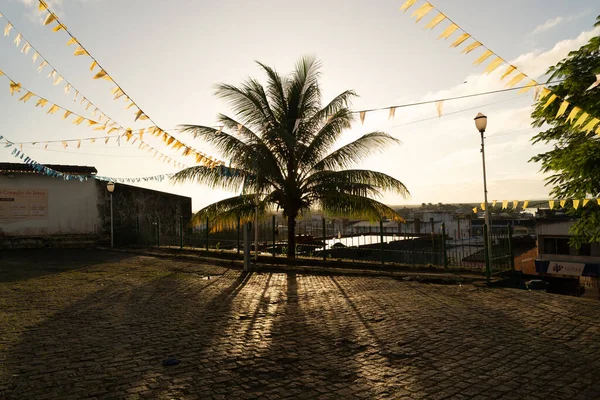 Valenca Bahia Brasil Junho 2022 Luz Fundo Uma Árvore Decoração — Fotografia de Stock