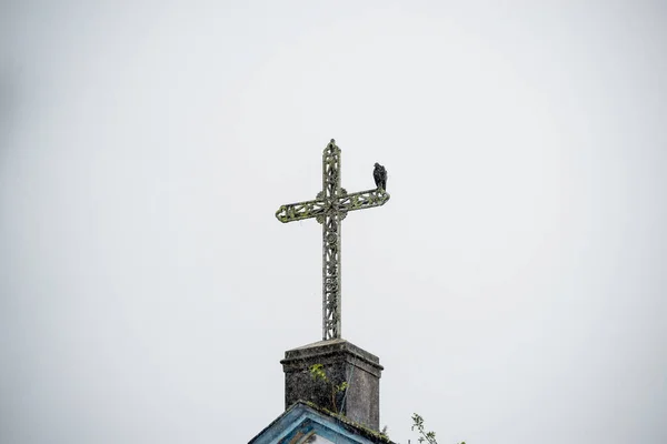Ein Geier Auf Dem Kreuz Einer Katholischen Kirche Stadt Valenca — Stockfoto