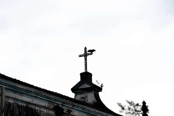 Ein Geier Auf Dem Kreuz Einer Katholischen Kirche Stadt Valenca — Stockfoto
