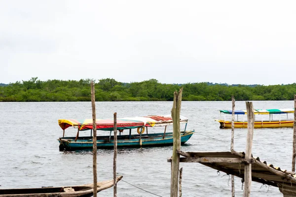 Taperoa, Bahia, Brezilya - 22 Haziran 2022: Taperoa, Bahia kentindeki Rio das Almas 'da demirlemiş balıkçı tekneleri.