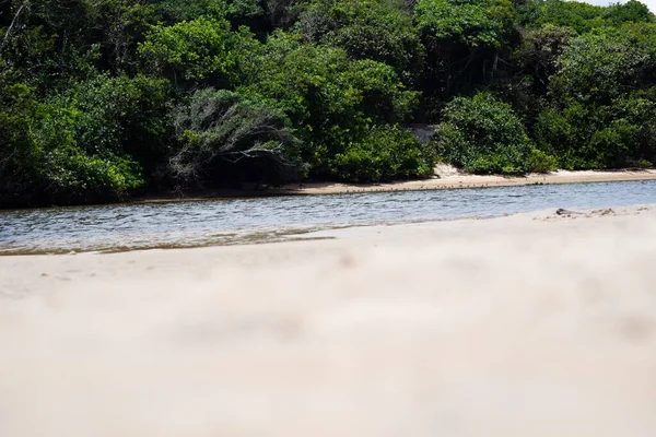 stock image Vegetation and forest on the banks of the Guaibinzinho river, in the tourist town of Valenca, Bahia.