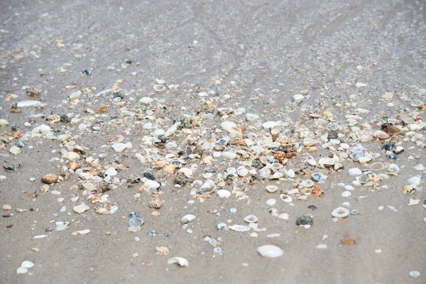 Kieselsteine Und Muscheln Sand Des Strandes Von Guaibim Der Touristenstadt — Stockfoto