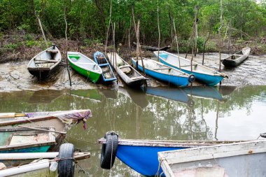 Nehre birkaç balıkçı kanosu yanaştı. Acupe Bölgesi, Santo Amaro, Bahia.