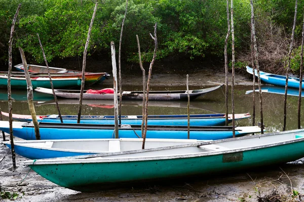 Varias Canoas Pesca Atracaron Río Distrito Acupe Santo Amaro Bahia —  Fotos de Stock