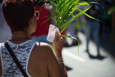 Salvador, Bahia, Brazil - April 02, 2023: Catholic church faithful are participating in the Palm Sunday procession in the city of Salvador, Bahia.