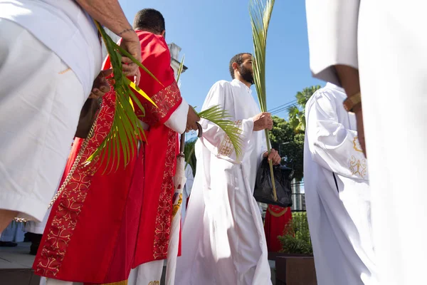 Salvador Bahia Brazil April 2023 Catholic Church Priests Participating Palm — Foto de Stock