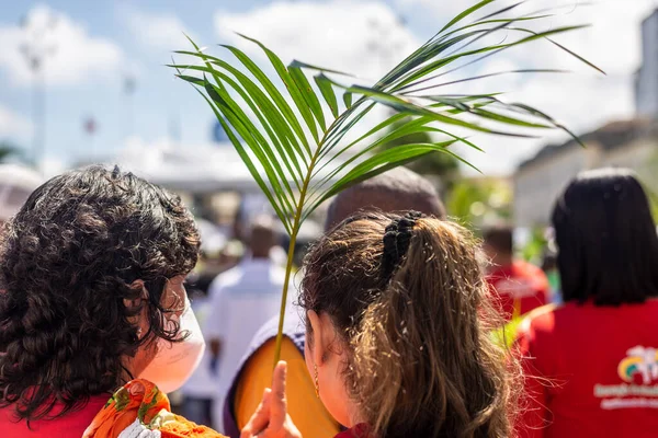 Salvador Bahia Brazil April 2023 Catholics Accompany Palm Sunday Procession — Foto de Stock