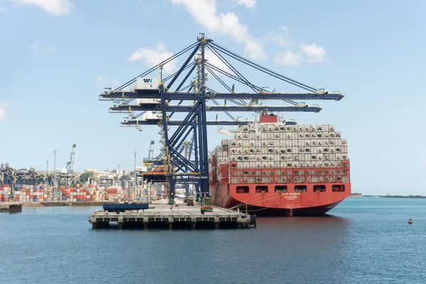 Salvador Bahia Brazil September 2022 Large Ship Loaded Container Moored — Stock Photo, Image