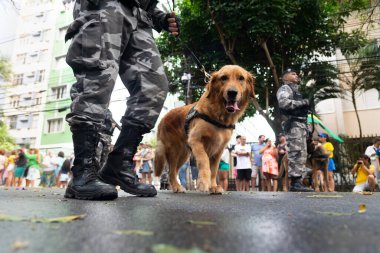 Salvador, Bahia, Brezilya - 07 Eylül 2022: Brezilya 'nın bağımsızlık yürüyüşü sırasında askeri polis köpekleri görüldü.