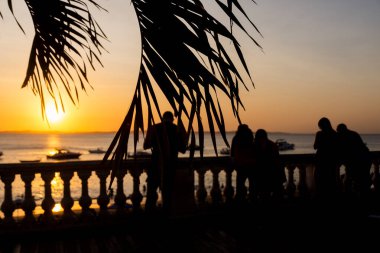 Salvador, Bahia, Brezilya - 25 Ağustos 2023: Dalların silueti ve Salvador, Bahia 'daki Porto da Barra' da gün batımını izleyen insanlar.