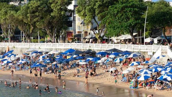 Salvador Bahia Brazylia Sierpnia 2023 Widok Plażę Porto Barra Pełną — Zdjęcie stockowe