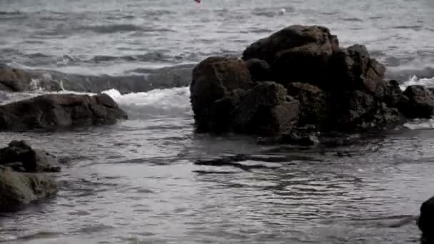Einem Sonnigen Tag Krachen Meereswellen Auf Die Schwarzen Felsen Des — Stockvideo