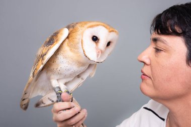 Baykuşuna sevgiyle bakan bir kadının yakın plan portresi. Vahşi hayvan. Gri arkaplan.