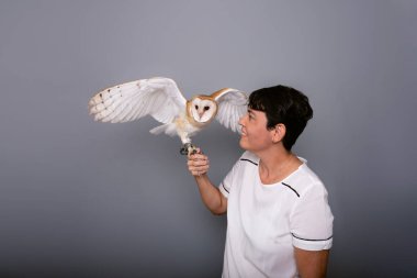 Kadının elinde açık kanatlı bir baykuş resmi. Vahşi hayvan. Gri arkaplana karşı stüdyo portresi.