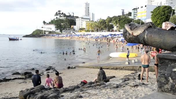 Salvador Bahia Brasil Agosto 2023 Praia Porto Barra Repleta Turistas — Vídeo de Stock