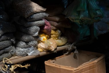 Salvador, Bahia, Brezilya - 28 Mart 2015: Salvador, Bahia 'daki Sao Joaquim fuarında satılık baharatlar.