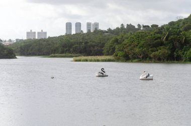 Salvador, Bahia, Brezilya - 18 Temmuz 2015: Arka planda Salvador, Bahia kentindeki Pituacu park lagününün manzarası.