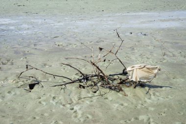 Sarı bir nehirde yüzen dallar ve odun parçaları. Ortam değişiyor.
