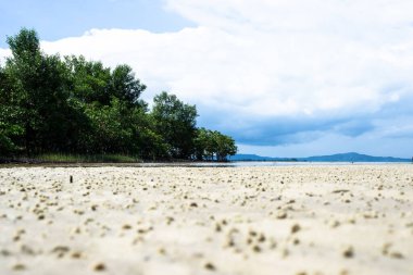 Nehrin yanında bir mangrov manzarası ve arkasında mavi gökyüzü ve yoğun bulutlar olan bir plaj. Korunmuş ortam.