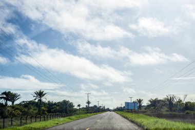Her iki tarafında ağaçlar olan asfalt yol manzarası. Kırsal ve tarımsal alan. Arka planda bulutlar olan mavi gökyüzü.
