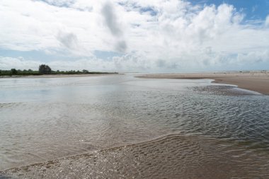 Denize akan bir nehirden gelen sular. Sahilde beyaz kum. Korunmuş çevre. Valenca, Brezilya
