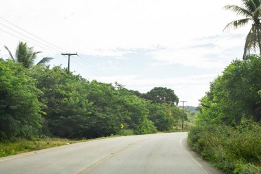 Yoğun, yeşil ormanlarla çevrili bir asfalt yol mavi gökyüzüne karşı bulutlu. Brezilya 'nın Bahia Eyaleti.