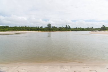 Denize akan bir nehirden gelen sular. Sahilde beyaz kum. Korunmuş çevre. Valenca, Brezilya