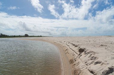 Denize akan bir nehirden gelen sular. Sahilde beyaz kum. Korunmuş çevre. Valenca, Brezilya