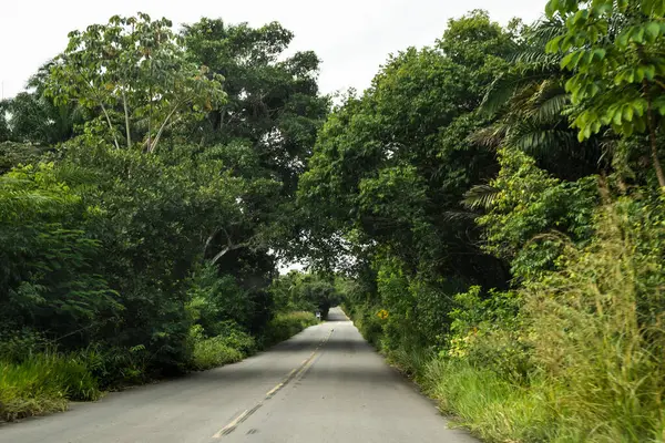 Floresta Verde Densa Ambos Lados Uma Estrada Asfalto Que Conecta — Fotografia de Stock