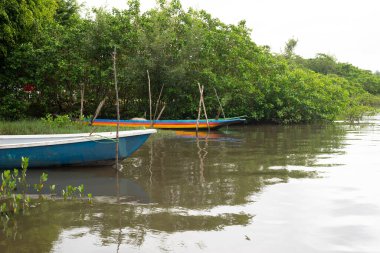 Kanolar uyuz köpeğinin yanındaki nehir kıyısına yanaştı. Balıkçı tekneleri. Maragogipe, Brezilya.
