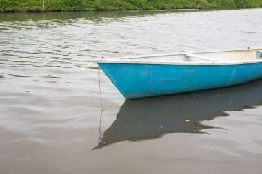 Mavi ve beyaz bir tekne nehre demir atmış, kalkmayı bekliyor. Balıkçı tekneleri. Maragogipe, Brezilya.