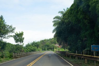 Etrafı yoğun ve yeşil ormanlarla çevrili bir yol manzarası. Korunmuş ortam.