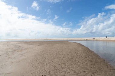 Denize akan bir nehirden gelen sular. Sahilde beyaz kum. Korunmuş çevre. Valenca, Brezilya