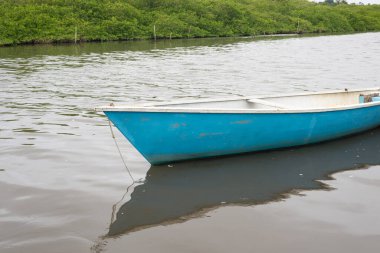 Mavi ve beyaz bir tekne nehre demir atmış, kalkmayı bekliyor. Balıkçı tekneleri. Maragogipe, Brezilya.