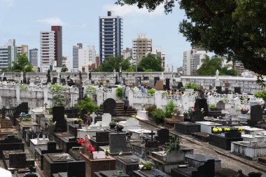 Salvador, Bahia, Brezilya - 2 Kasım 2018: Salvador, Bahia 'daki Campo Santo mezarlığının ölüm günü görüntüsü.