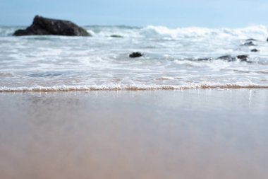 Güzel ve sakin bir sahil kenarında. Doğayı korumuş. Çevre.