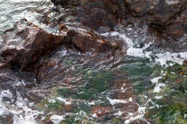 Karanlık sahil kayalarını kaplayan deniz suyu. Korunmuş ortam