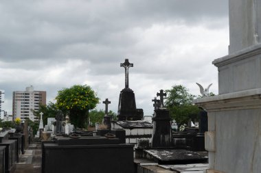 Salvador, Bahia, Brezilya - 02 Kasım 2023: Salvador, Bahia 'daki Campo Santo mezarlığındaki mezarlar.