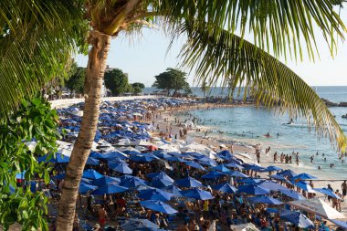 Salvador, Bahia, Brezilya - 21 Ekim 2023: Yüzlerce insan Porto da Barra sahilinde Salvador, Bahia 'da güneşlenirken görüldü..