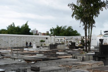 Salvador, Bahia, Brezilya - 02 Kasım 2023: Salvador, Bahia 'daki Campo Santo mezarlığına defin çekmeceleri.