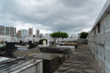 Salvador, Bahia, Brezilya - 02 Kasım 2023: Brezilya 'nın Bahia kentindeki Campo Santo mezarlığının içi.