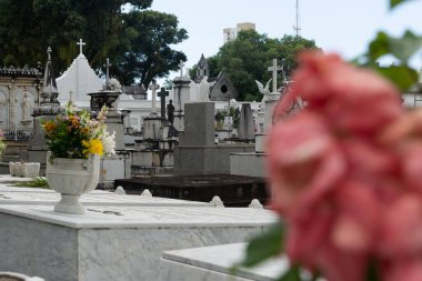 Salvador, Bahia, Brezilya - 02 Kasım 2023: Salvador, Bahia 'daki Campo Santo mezarlığının mezarları.