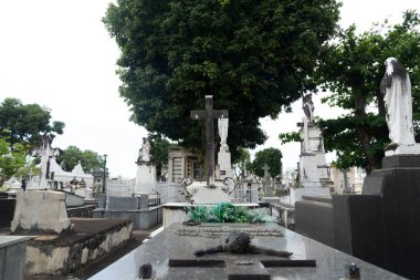 Salvador, Bahia, Brezilya - 02 Kasım 2023: Salvador, Bahia 'daki Campo Santo mezarlığının manzarası.