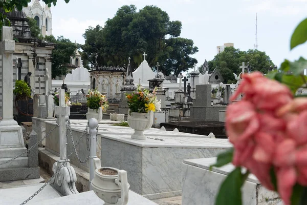 Salvador, Bahia, Brezilya - 02 Kasım 2023: Salvador, Bahia 'daki Campo Santo mezarlığının mezarları.