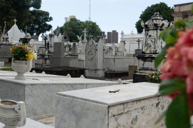 Salvador, Bahia, Brezilya - 02 Kasım 2023: Salvador, Bahia 'daki Campo Santo mezarlığının manzarası.