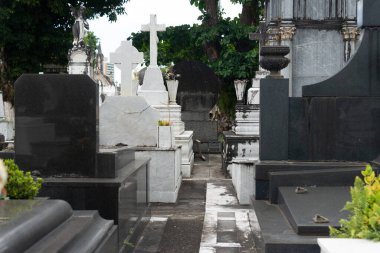 Salvador, Bahia, Brezilya - 02 Kasım 2023: Salvador, Bahia 'daki Campo Santo mezarlığının mezarları.