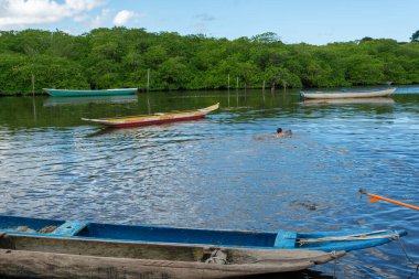 Aratuipe, Bahia, Brazil - May 30, 2015: Canoes docked on the Jaguaripe River in Maragogipinho, district of the city of Aratuipe in Bahia.